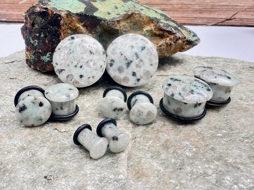 Aqua Blue Dalmatian Jasper Plugs – Single Flared Gauges