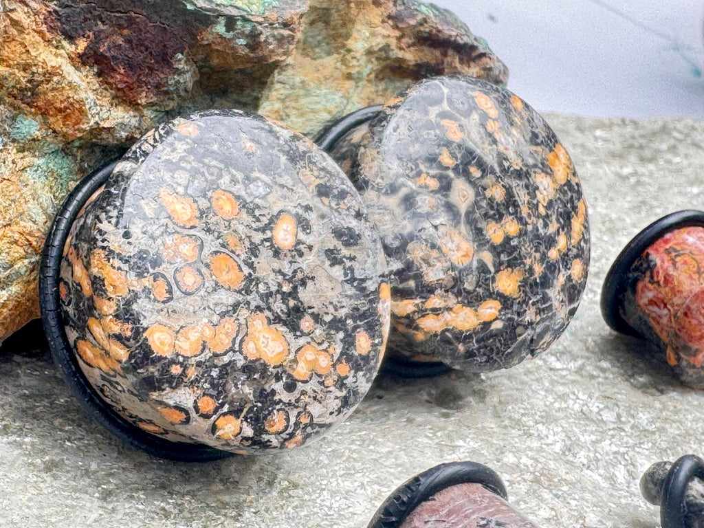 Leopardskin Jasper Plugs – Single Flared Ear Gauges