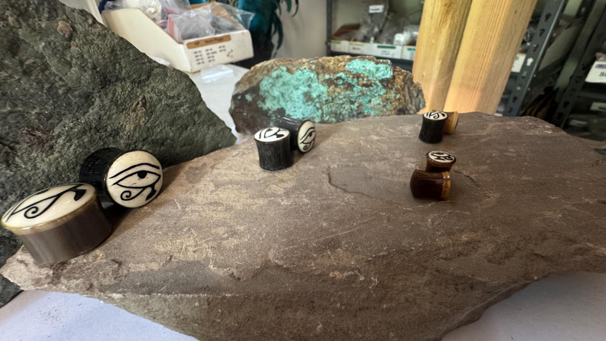 Eye of Ra & Horus Horn Plugs – Bone Inlay