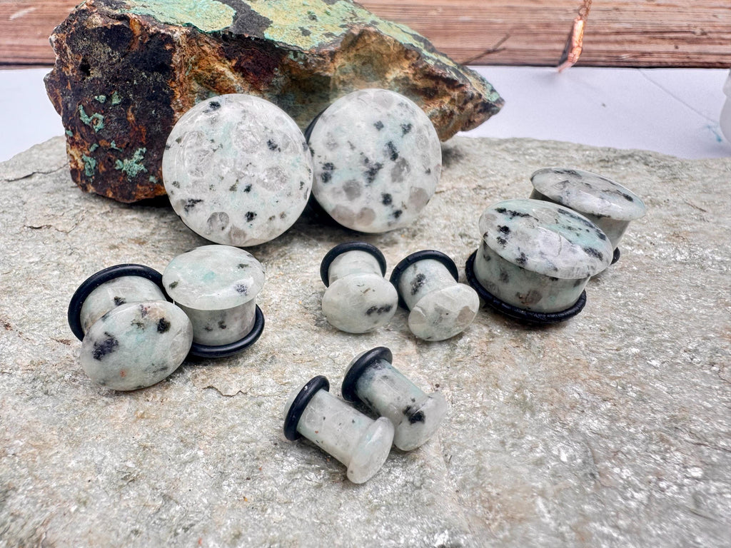 Aqua Blue Dalmatian Jasper Plugs – Single Flared Gauges