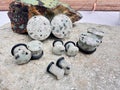 Aqua Blue Dalmatian Jasper Plugs – Single Flared Gauges