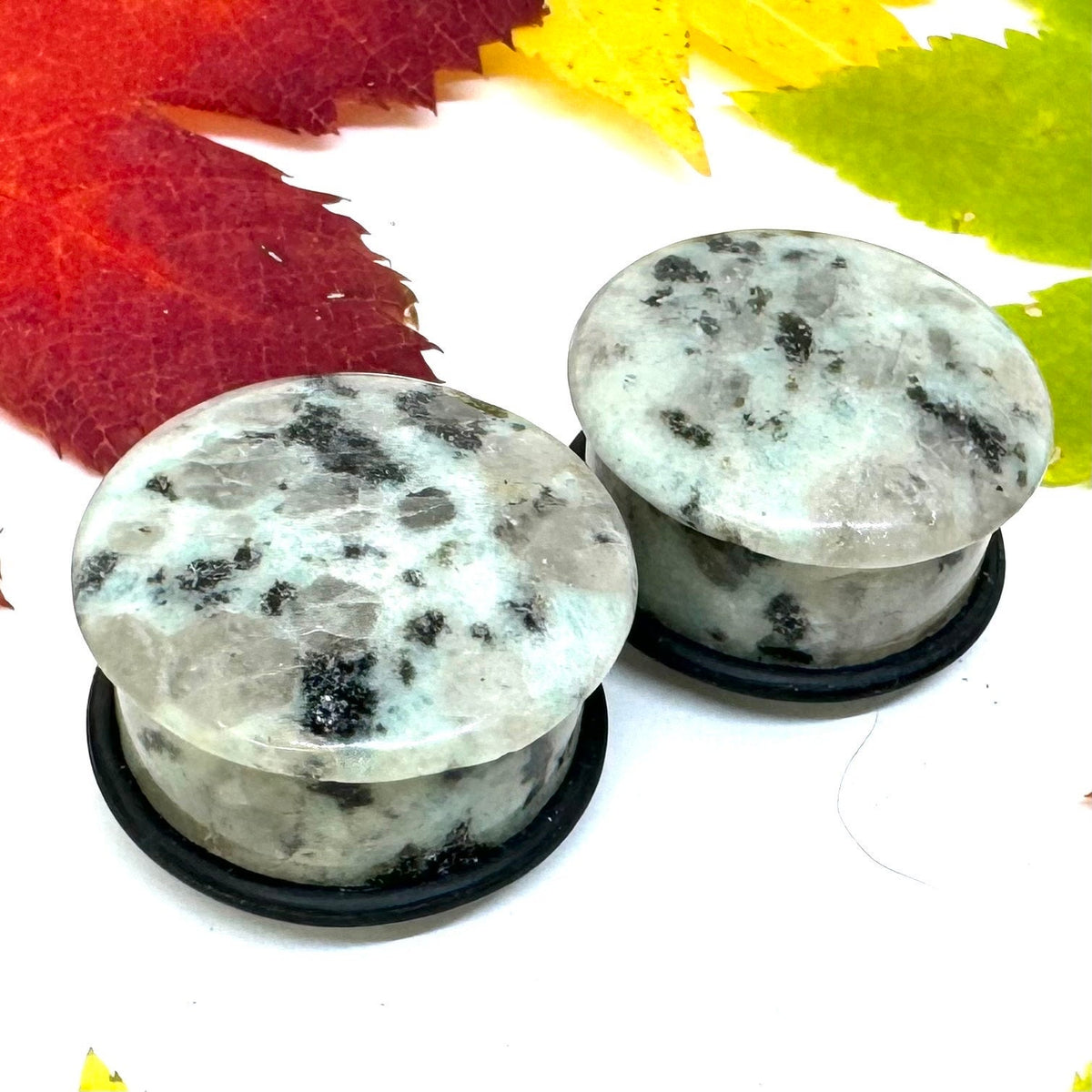 OOAK Dalmatian Jasper Single Flared Stone Plugs – 7/8" (22mm) Single Flared
