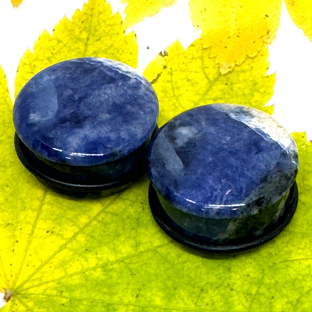 OOAK Sodalite Plugs – 1" (25mm) Single Flared