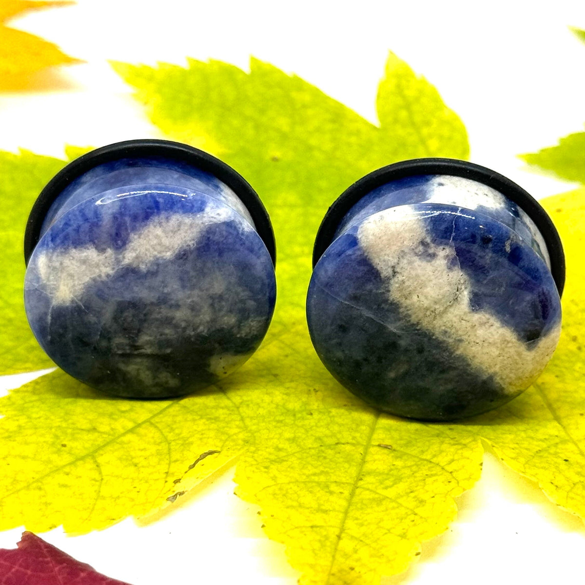 OOAK Sodalite Stone Plugs – 1" (25mm) Single Flared