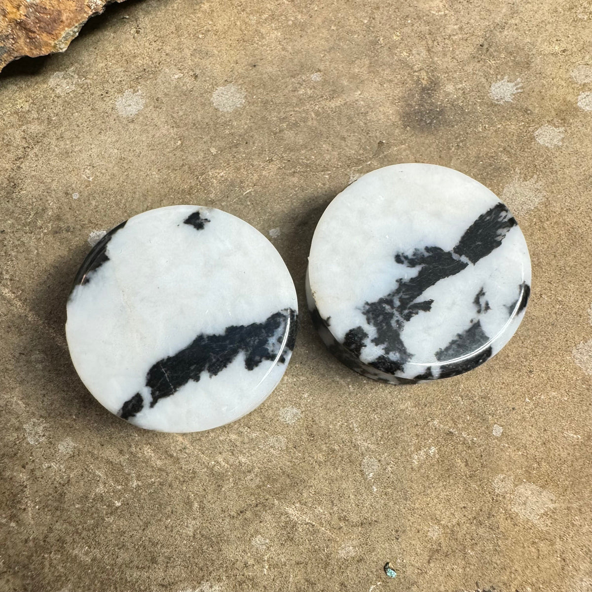 OOAK Zebra Jasper Plugs – 1" (25mm) Double Flared