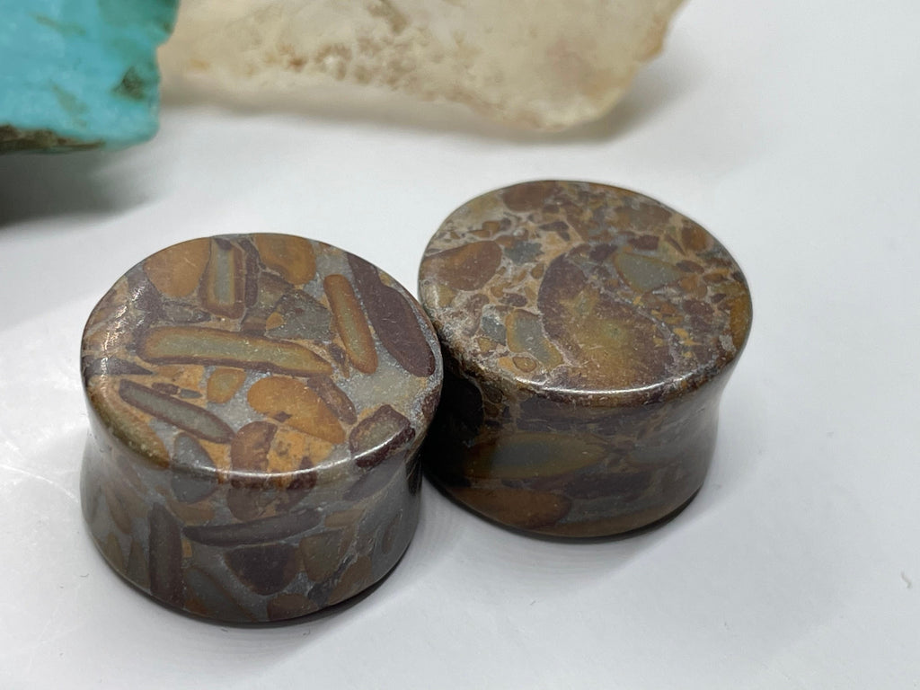 OOAK Bamboo Jasper Plugs – 3/4" (19mm)