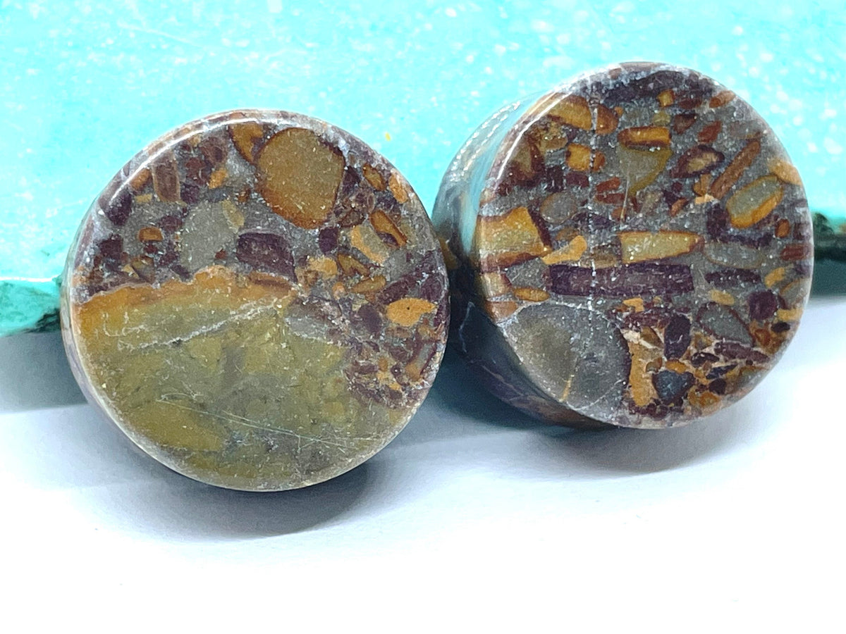 OOAK Jasper Stone Plugs – 1" (25mm)