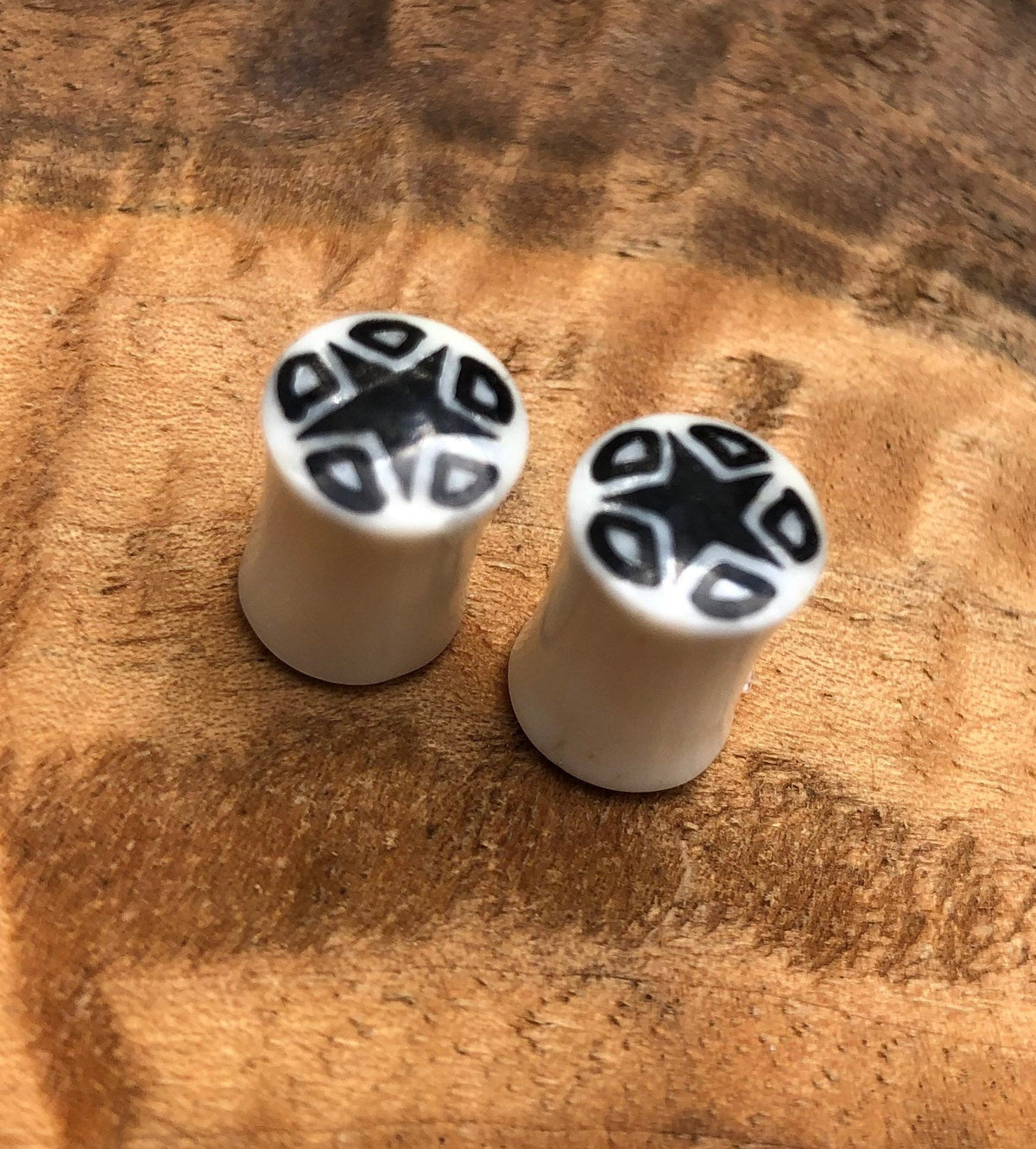 Bone Plugs with Black Star Inlay – Double Flared