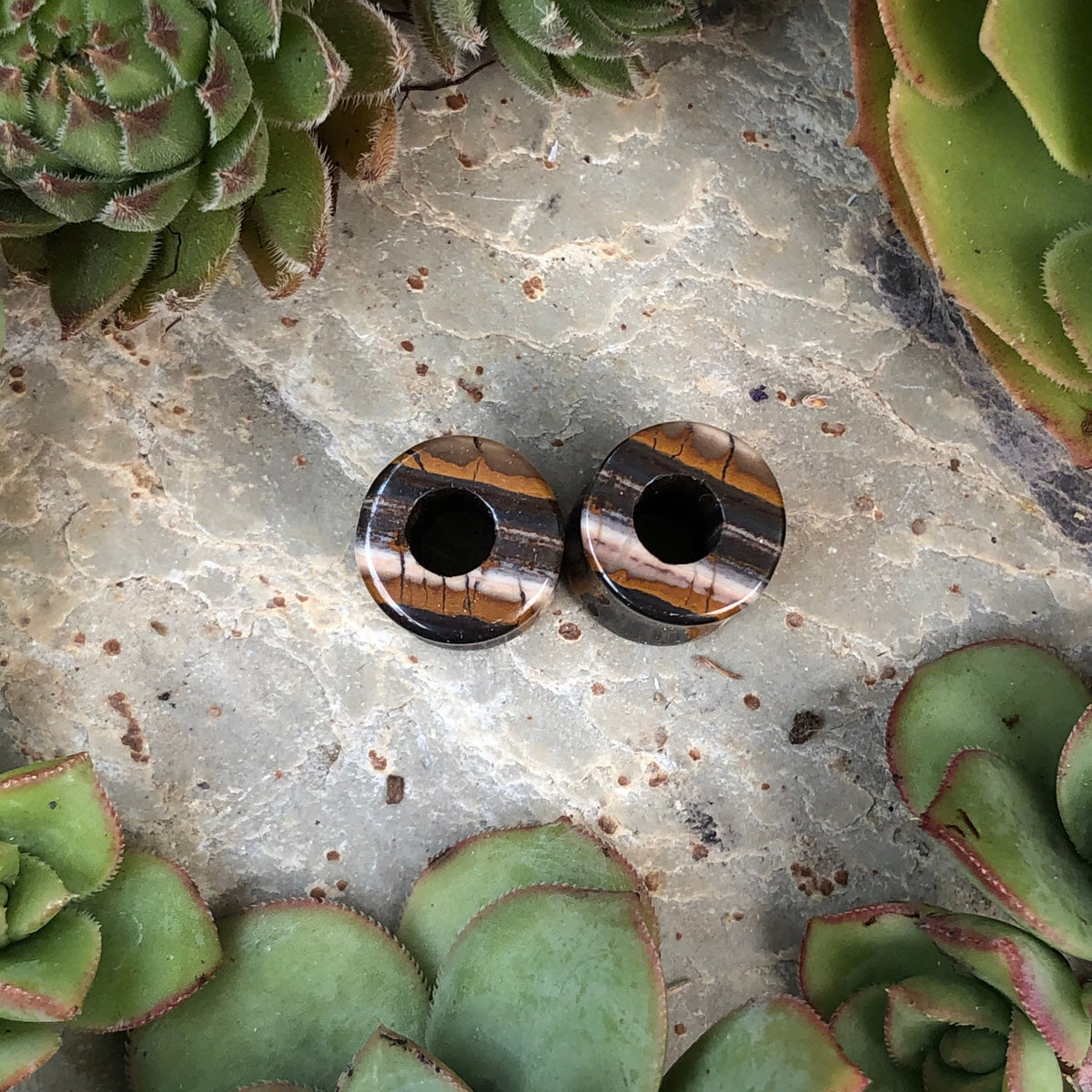 OOAK Tiger Iron Stone Tunnels – 7/16" (11mm)