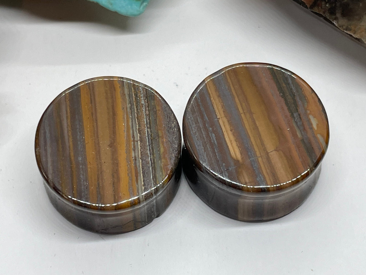 OOAK Tiger Iron Plugs – 7/8" (22mm)
