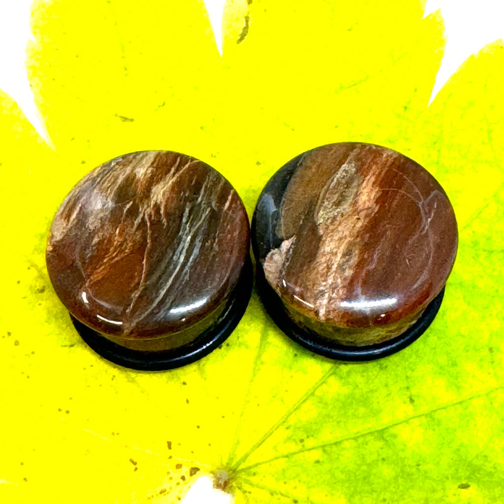 OOAK Petrified Wood Plugs – 3/4" (19mm) Single Flared