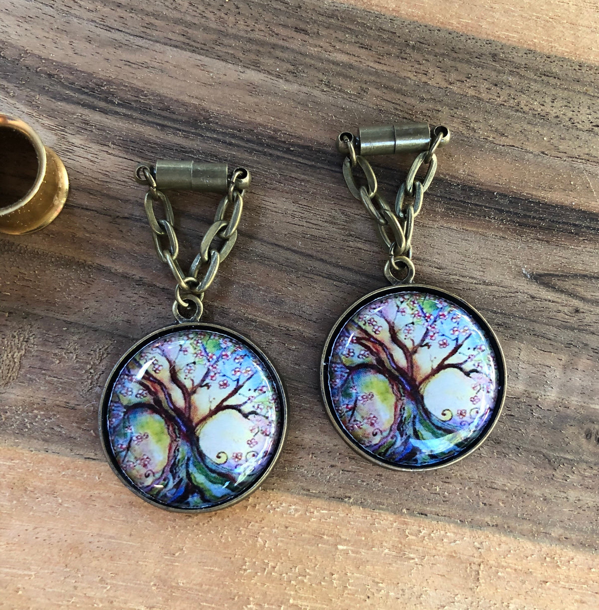 Tree of Life Bronze Magnetic Clasp Gauged Earrings