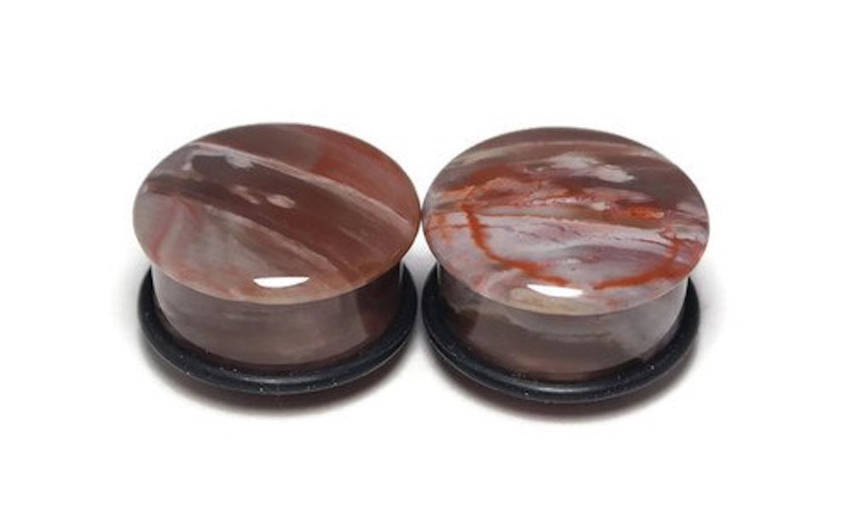 OOAK Petrified Wood Plugs – 7/8" (22mm) Single Flared