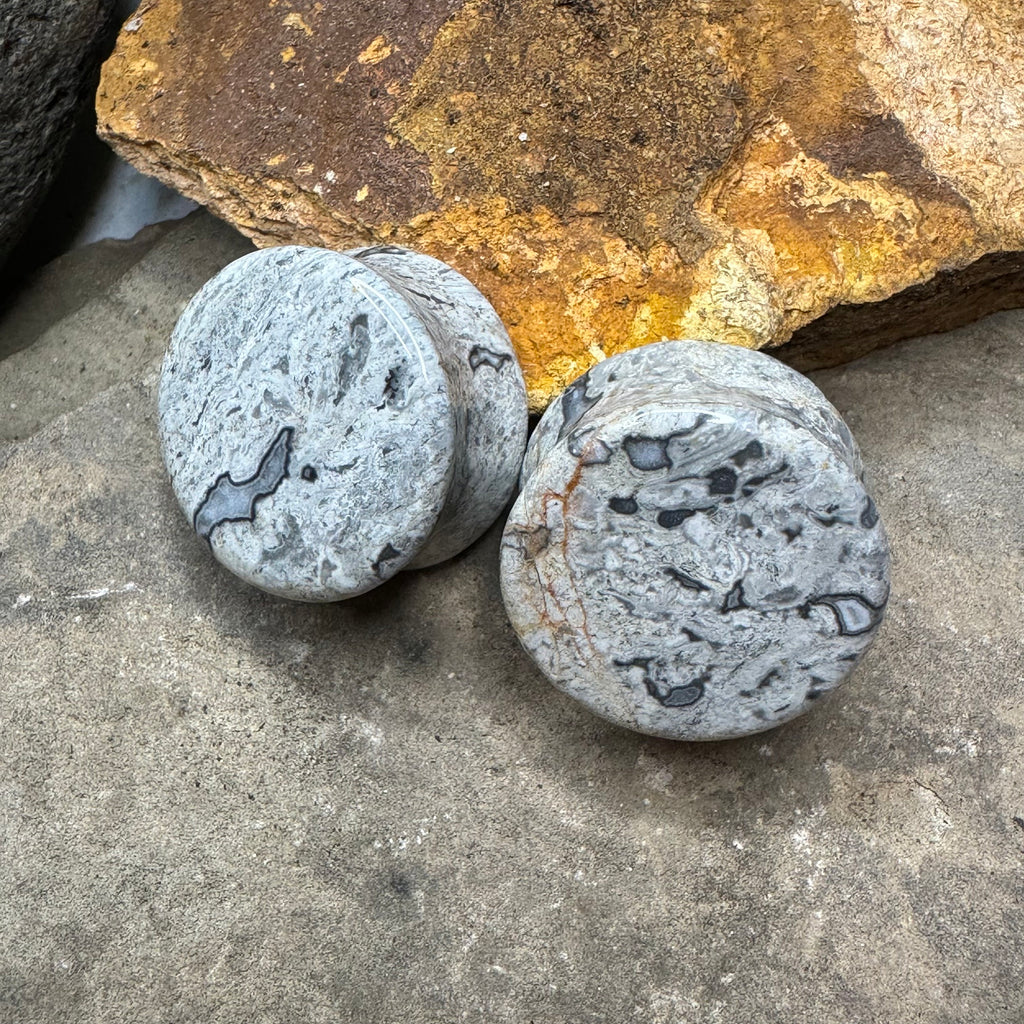 OOAK Wave Jasper Stone Plugs – 7/8" (22mm)
