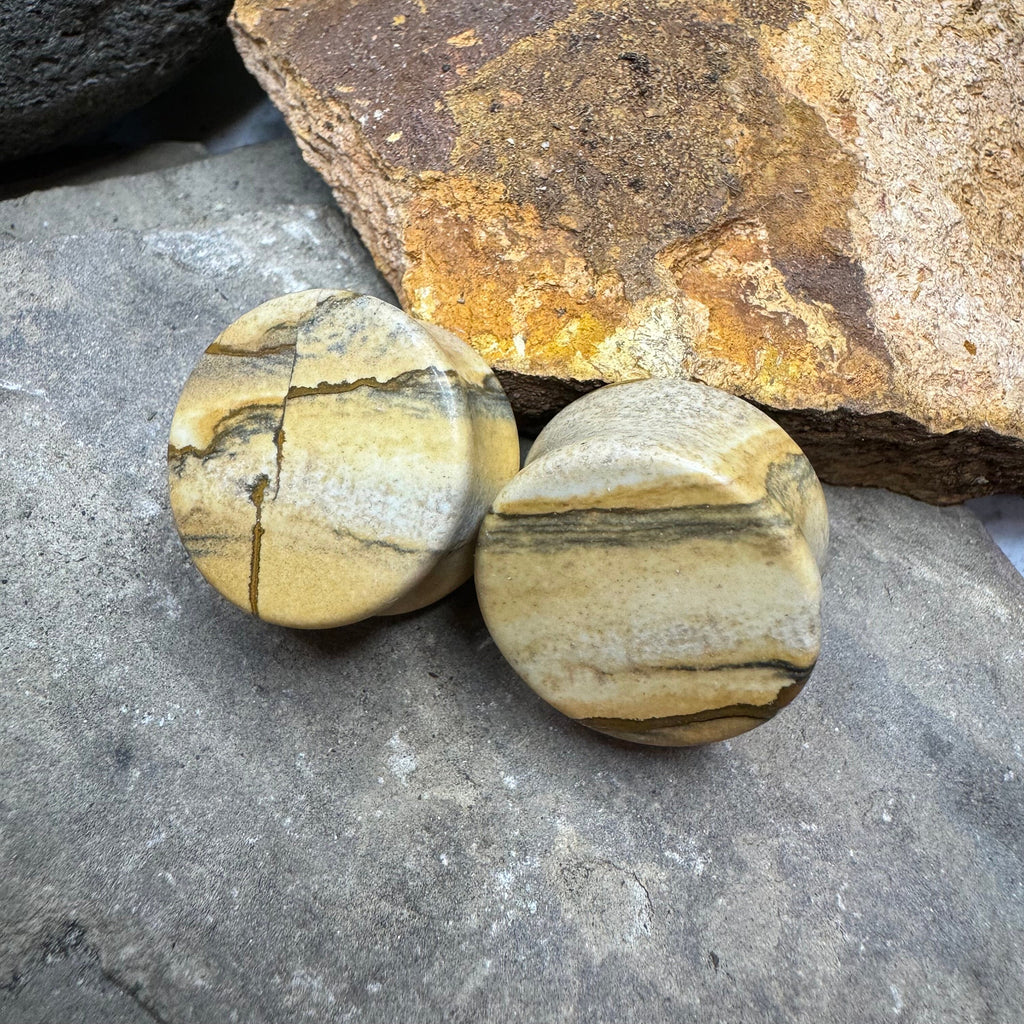 OOAK Picture Jasper Plugs – 7/8" (22mm)