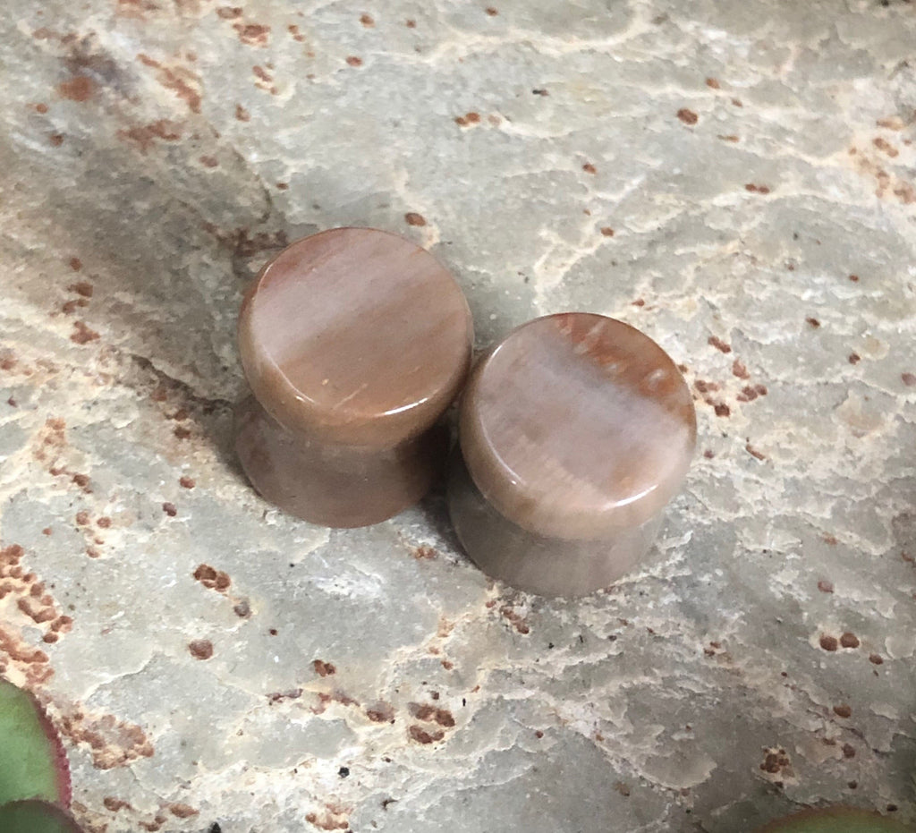 OOAK Petrified Stone Plugs – 00g (10mm)