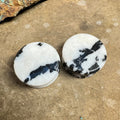 OOAK Zebra Jasper Plugs – 1" (25mm) Double Flared