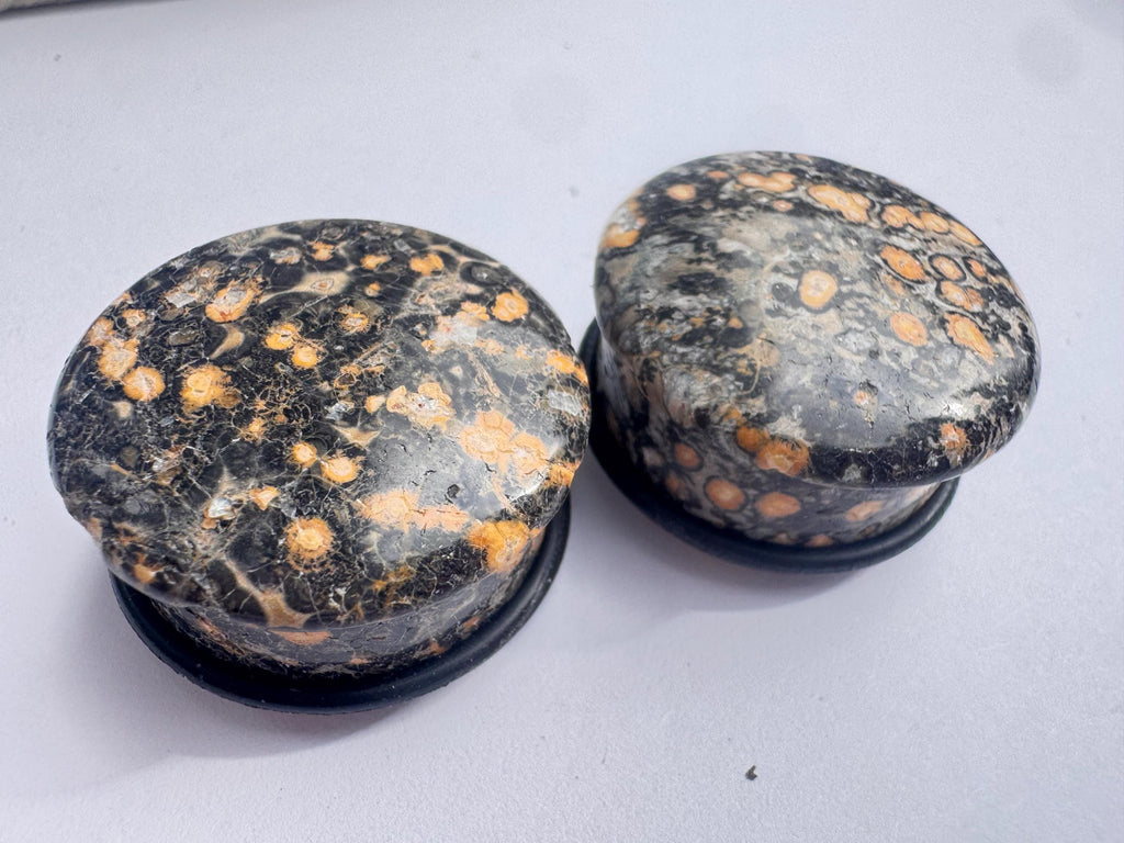 Leopardskin Jasper Plugs – Single Flared Ear Gauges