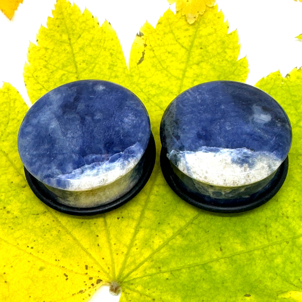 OOAK Sodalite Plugs – 1" (25mm) Single Flared
