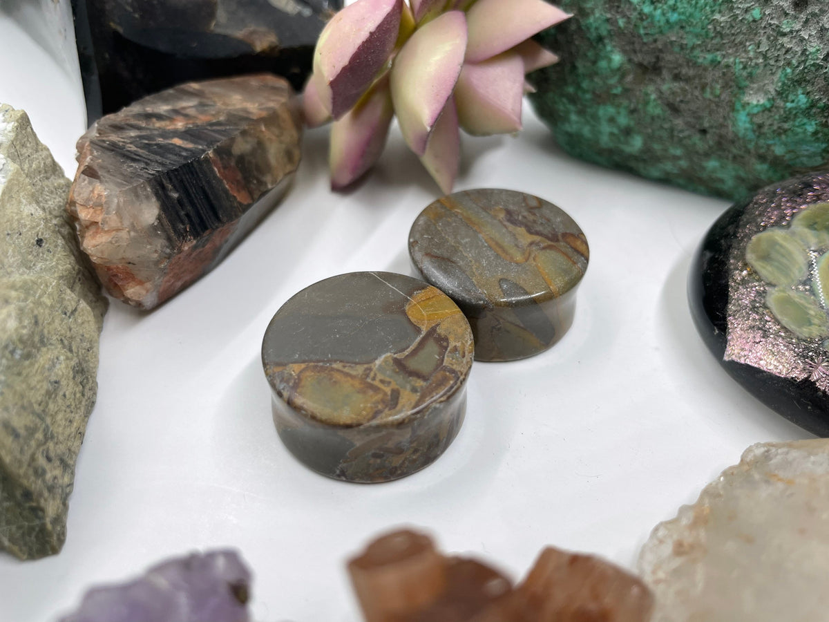 OOAK Grey Bamboo Jasper Plugs – 1" (25mm)