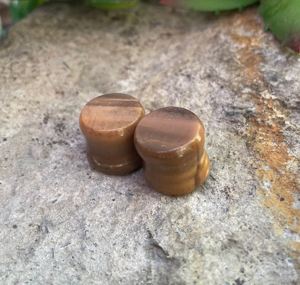 OOAK Petrified Wood Stone Plugs – 1/2" (13mm)