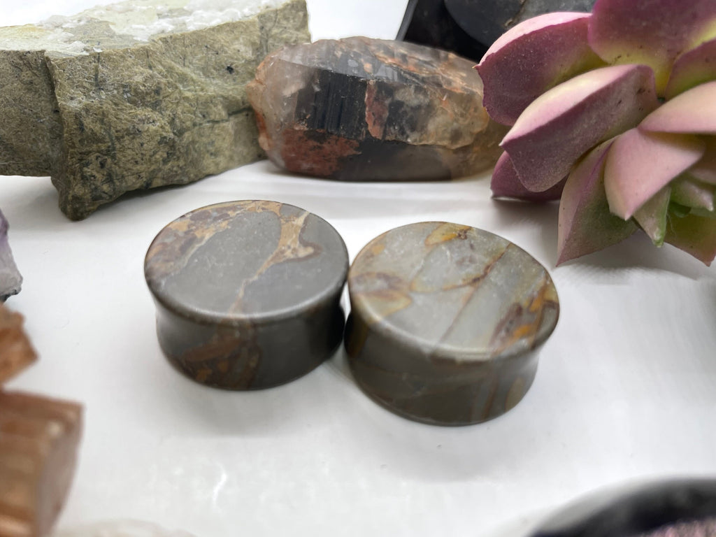 OOAK Grey Bamboo Jasper Plugs – 1" (25mm)