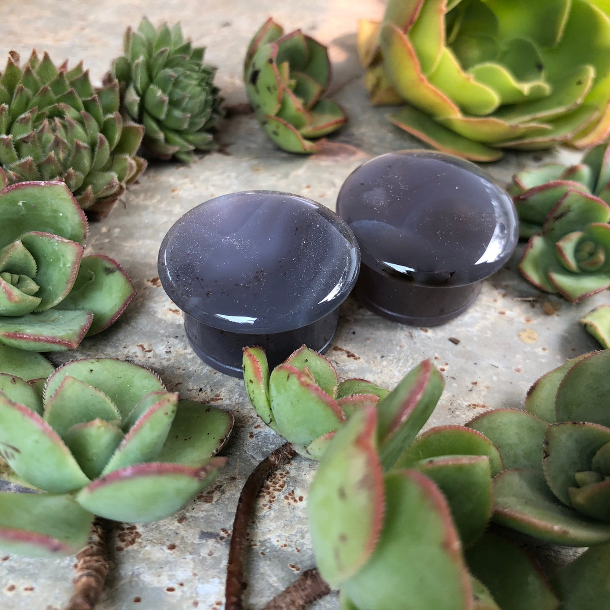 OOAK Grey Agate Stone Plugs – 1" (25mm)