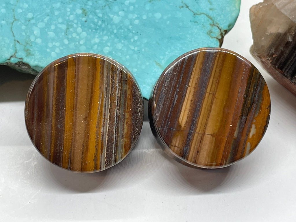 OOAK Tiger Iron Plugs – 7/8" (22mm)