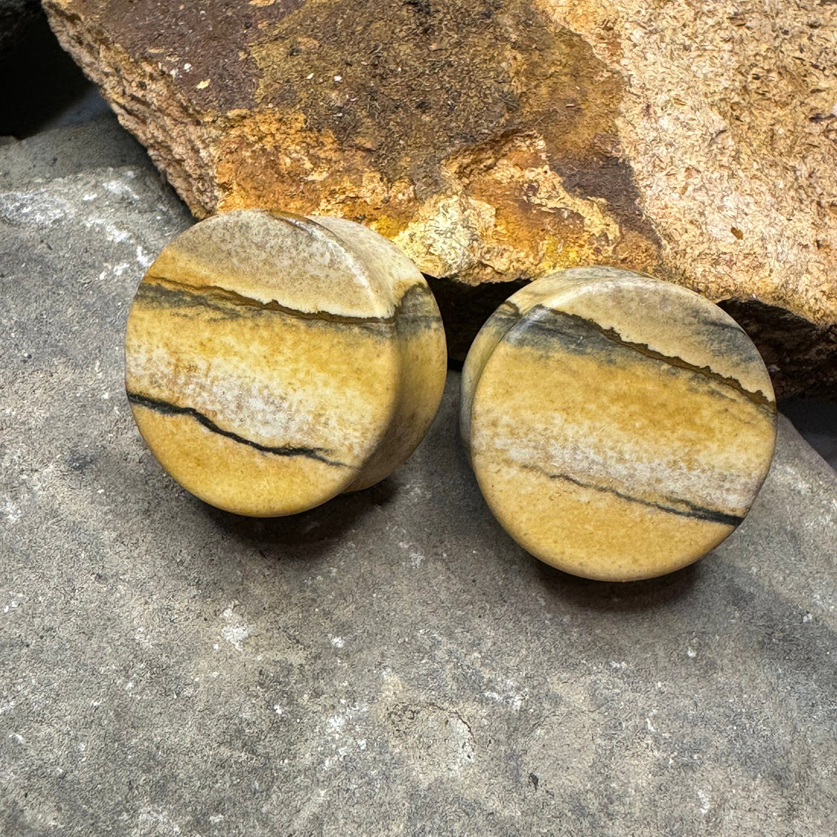 OOAK Picture Jasper Plugs – 7/8" (22mm)