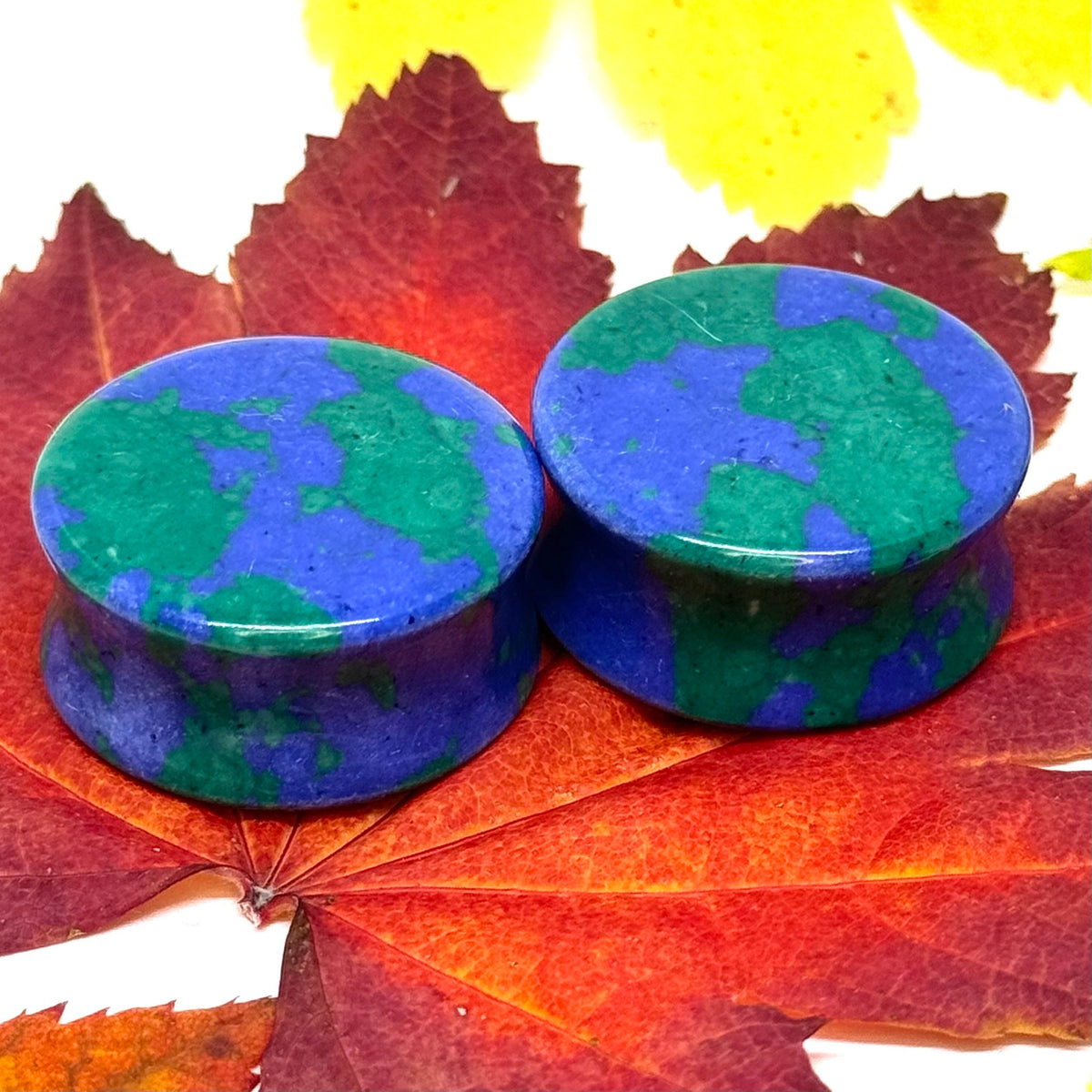OOAK Azurite Stone Plugs – 1" (25mm)
