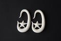 Carved Bone Star Hanging Earrings – Ear Gauges