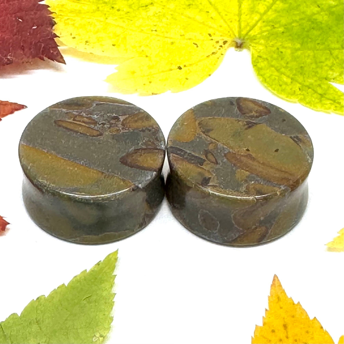 OOAK Bamboo Jasper Plugs – 1" (25mm) Double Flared