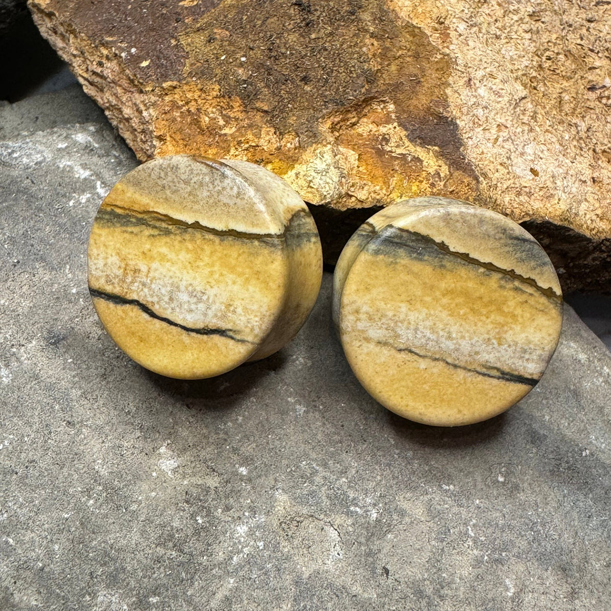 OOAK Picture Jasper Plugs – 7/8" (22mm)