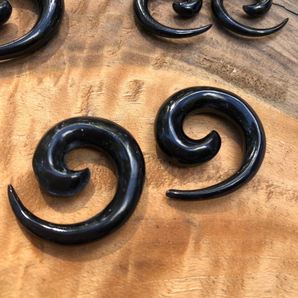 Classic Water Buffalo Horn Spiral Earrings