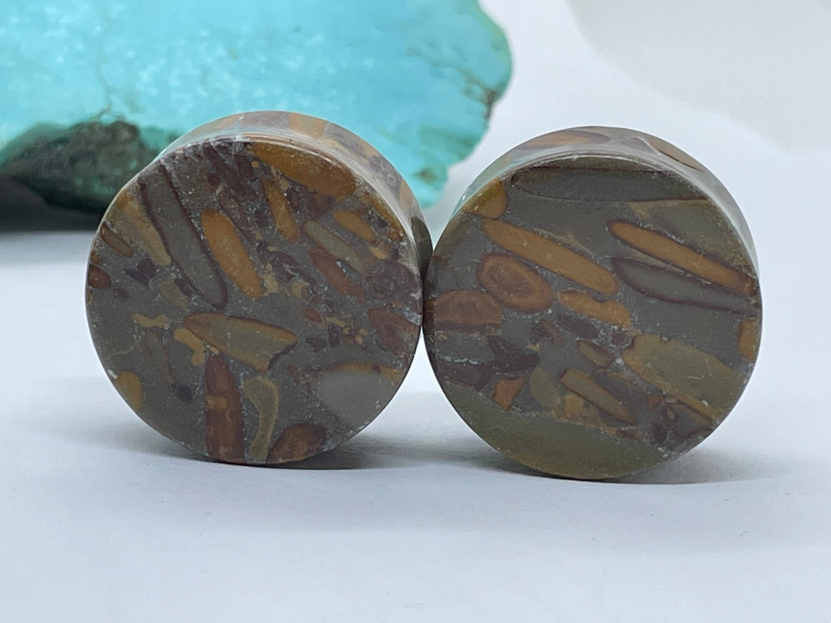 OOAK Jasper Stone Plugs – 1" (25mm)