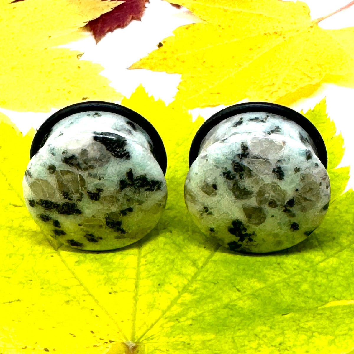OOAK Dalmatian Jasper Single Flared Stone Plugs – 7/8" (22mm)