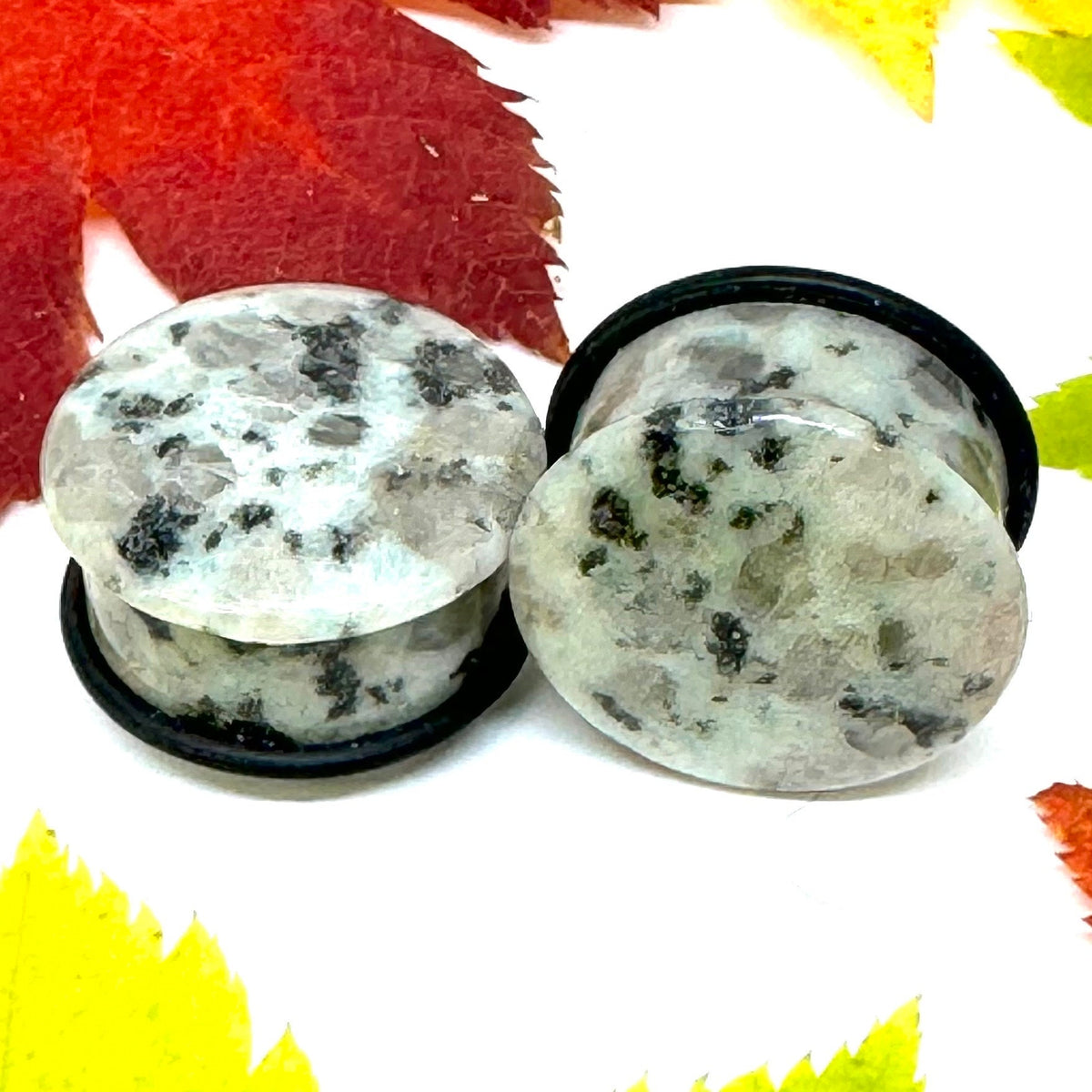 OOAK Dalmatian Jasper Single Flared Stone Plugs – 7/8" (22mm) Single Flared