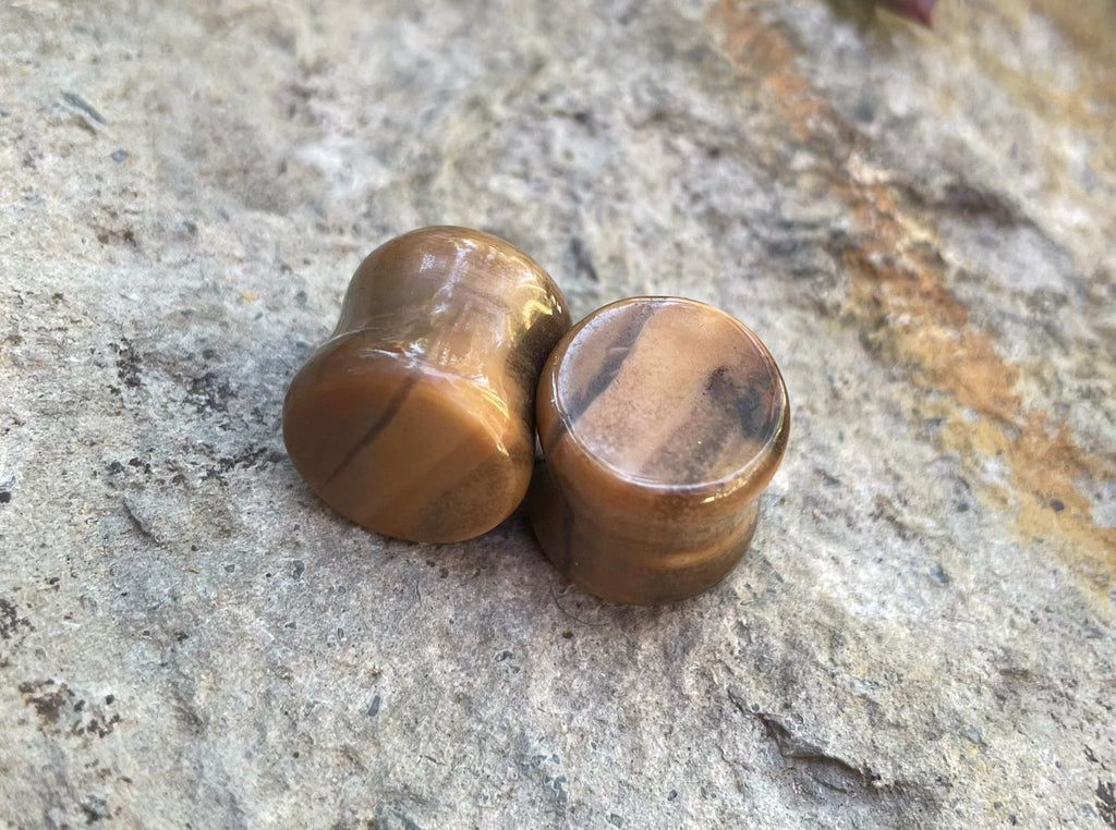 OOAK Petrified Wood Stone Plugs – 1/2" (13mm)