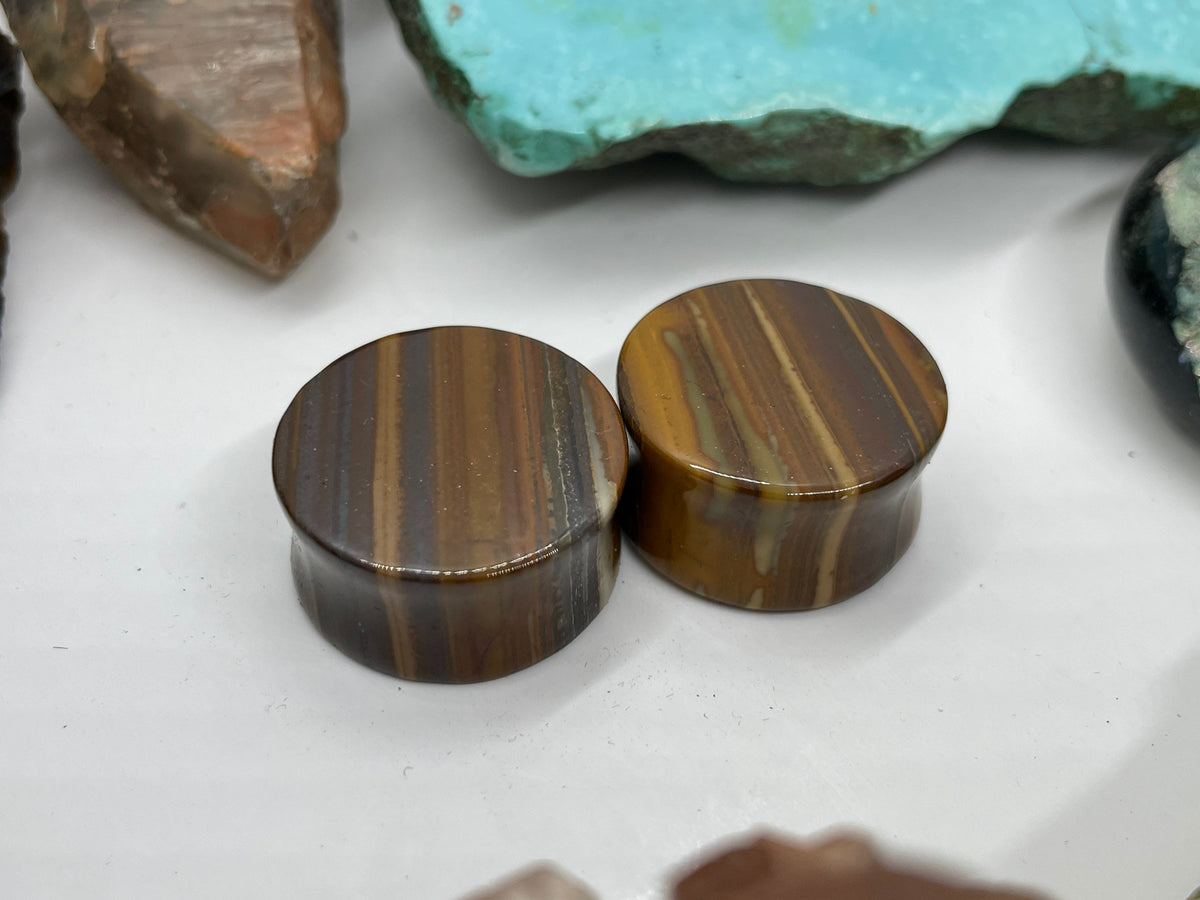 OOAK Tiger Iron Stone Plugs – 7/8" (22mm) Double Flared