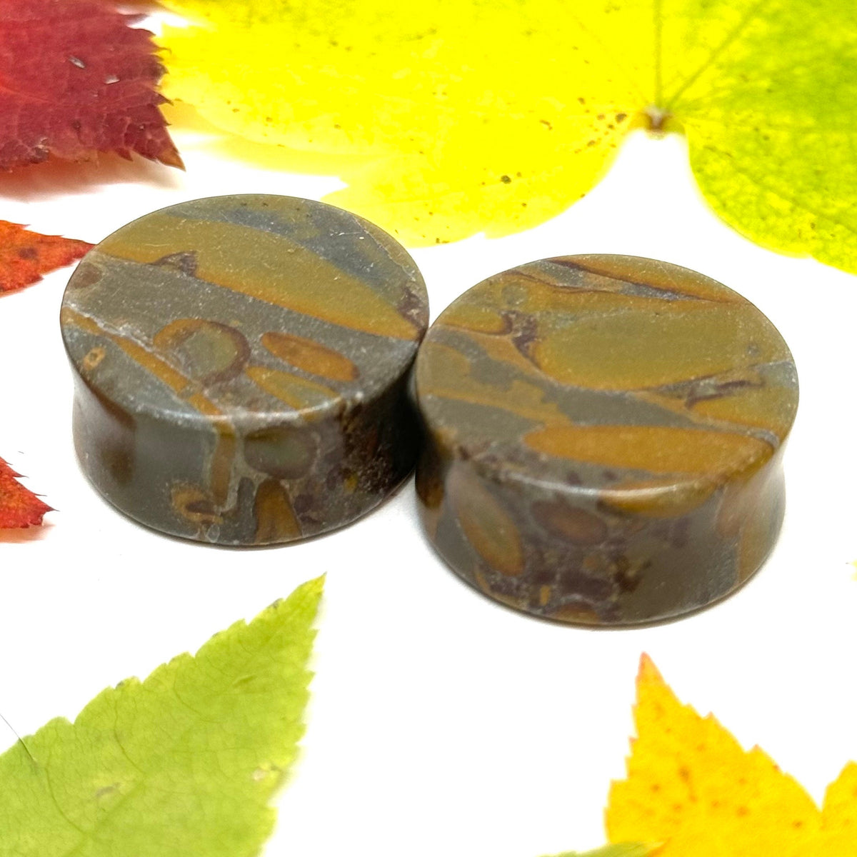 OOAK Bamboo Jasper Plugs – 1" (25mm) Double Flared