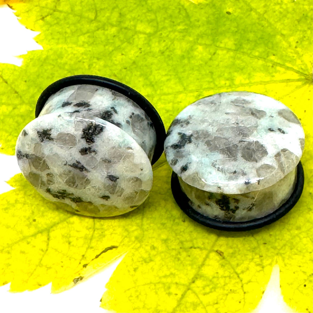 OOAK Dalmatian Jasper Single Flared Plugs – 7/8" (22mm)