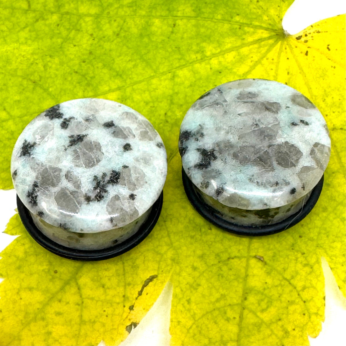 OOAK Dalmatian Jasper Single Flared Plugs – 7/8" (22mm)