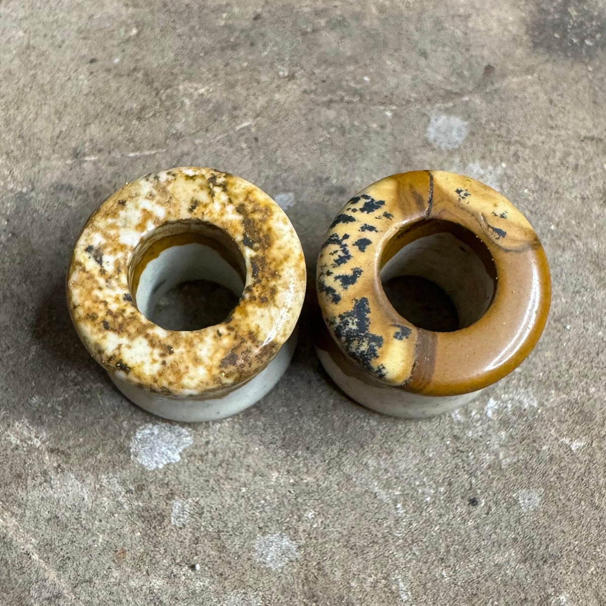 OOAK Reversible Picture Jasper Tunnels – 9/16" (14mm)