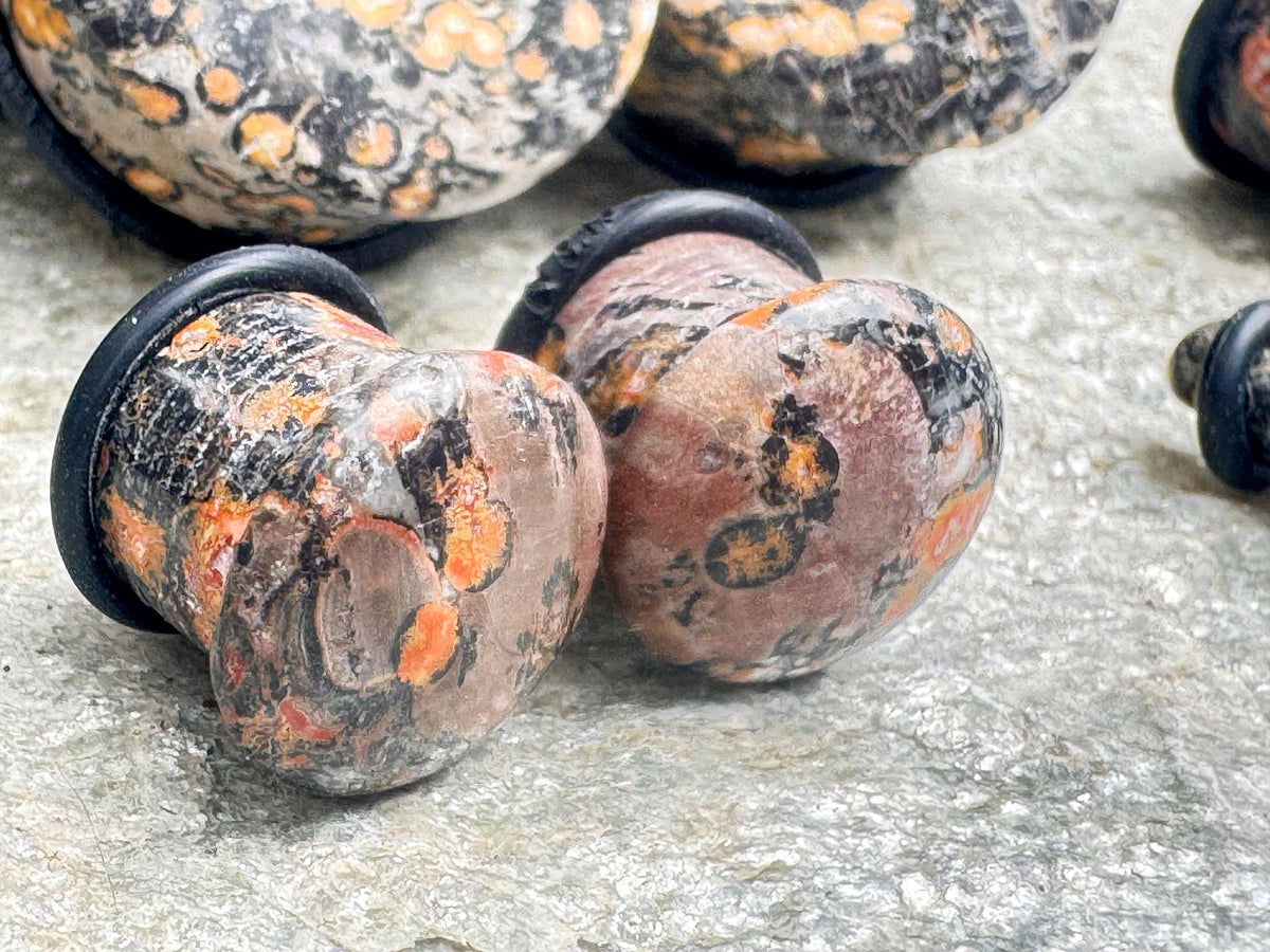 Leopardskin Jasper Plugs – Single Flared Ear Gauges