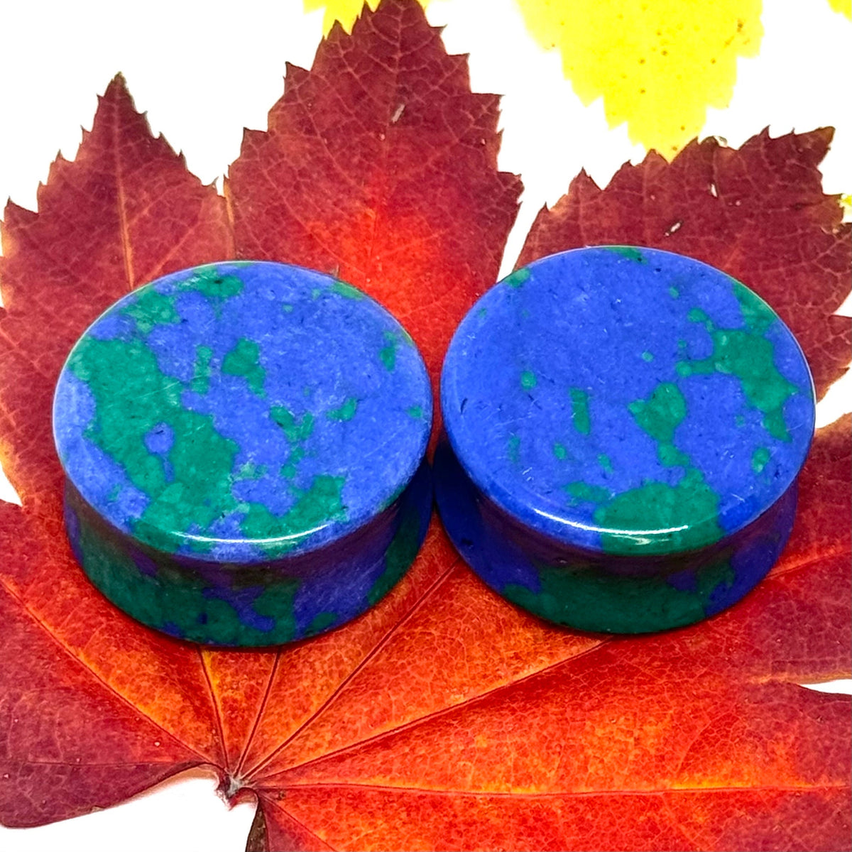 OOAK Azurite Stone Plugs – 1" (25mm)